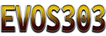 Logo Evos303